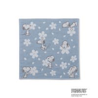 ROPE' PICNIC | RPCW0048749