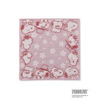 ROPE' PICNIC | RPCW0048749