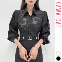 KawaiCat | KW000020871