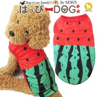 K-city（ケイシティ）のファッション雑貨/ペットグッズ