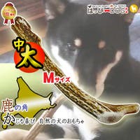 K-city（ケイシティ）のファッション雑貨/ペットグッズ