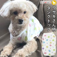 K-city（ケイシティ）のファッション雑貨/ペットグッズ