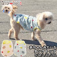 K-city（ケイシティ）のファッション雑貨/ペットグッズ
