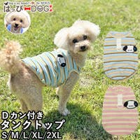 トイプードルジャガード ワンピースとパンツ　2点セット モフモフモールキット トイプードルキット シュガーホワイト