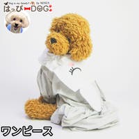 K-city（ケイシティ）のファッション雑貨/ペットグッズ