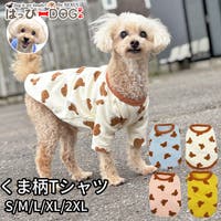 K-city（ケイシティ）のファッション雑貨/ペットグッズ