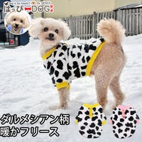 K-city（ケイシティ）のファッション雑貨/ペットグッズ