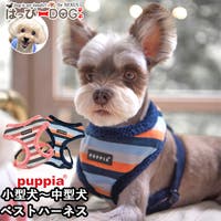 K-city（ケイシティ）のファッション雑貨/ペットグッズ