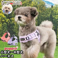 K-city（ケイシティ）のファッション雑貨/ペットグッズ