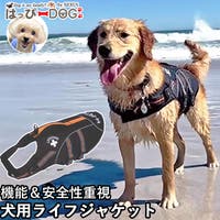 K-city（ケイシティ）のファッション雑貨/ペットグッズ