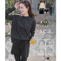 KOBE LETTUCE | KO000015131