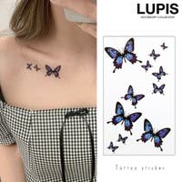 LUPIS（ルピス）のアクセサリー/タトゥーシール