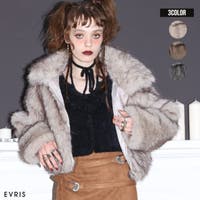 EVRIS | MKSW0066700