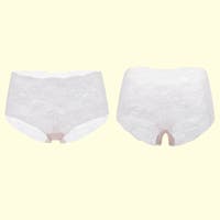 nijibra | JX000003536