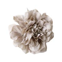 Noelmarket | TENW0000135