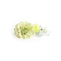 Noelmarket | TENW0000380