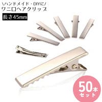 PlusNao（プラスナオ）のファッション雑貨/その他ホビー・ペット雑貨