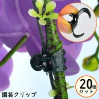 PlusNao（プラスナオ）のファッション雑貨/その他ホビー・ペット雑貨