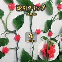 PlusNao（プラスナオ）のファッション雑貨/その他ホビー・ペット雑貨