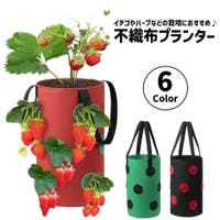 PlusNao（プラスナオ）のファッション雑貨/その他雑貨