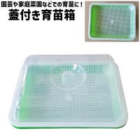 PlusNao（プラスナオ）のファッション雑貨/その他ホビー・ペット雑貨