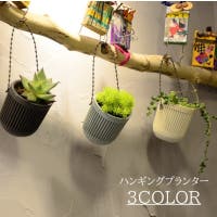 PlusNao（プラスナオ）のファッション雑貨/その他ホビー・ペット雑貨