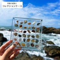 PlusNao（プラスナオ）のファッション雑貨/その他ホビー・ペット雑貨