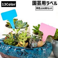PlusNao | FQ000224214