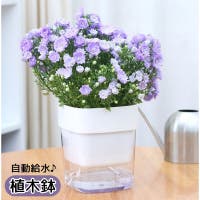 PlusNao（プラスナオ）のファッション雑貨/その他ホビー・ペット雑貨