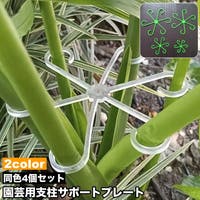 PlusNao(プラスナオ)のファッション雑貨/その他ホビー・ペット雑貨