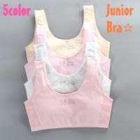 PlusNao（プラスナオ）のインナー・下着/ブラジャー