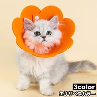 PlusNao（プラスナオ）のファッション雑貨/ペットグッズ