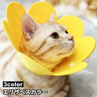 PlusNao（プラスナオ）のファッション雑貨/ペットグッズ