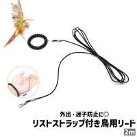 PlusNao（プラスナオ）のファッション雑貨/ペットグッズ