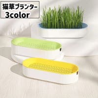 PlusNao（プラスナオ）のファッション雑貨/その他ホビー・ペット雑貨