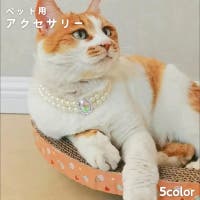 PlusNao（プラスナオ）のファッション雑貨/ペットグッズ