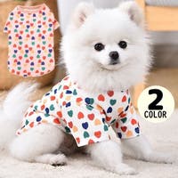 PlusNao（プラスナオ）のファッション雑貨/ペットグッズ