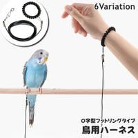 PlusNao（プラスナオ）のファッション雑貨/ペットグッズ