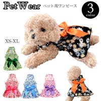 PlusNao（プラスナオ）のファッション雑貨/ペットグッズ