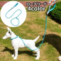 PlusNao（プラスナオ）のファッション雑貨/ペットグッズ