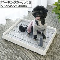 PlusNao（プラスナオ）のファッション雑貨/ペットグッズ