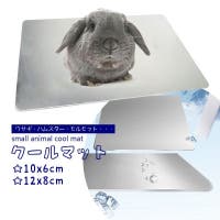 PlusNao(プラスナオ)のファッション雑貨/ペットグッズ