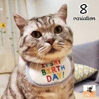 PlusNao(プラスナオ)のファッション雑貨/ペットグッズ