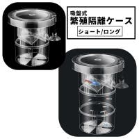 PlusNao（プラスナオ）のファッション雑貨/ペットグッズ