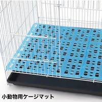 PlusNao（プラスナオ）のファッション雑貨/ペットグッズ