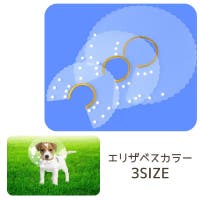 PlusNao（プラスナオ）のファッション雑貨/ペットグッズ