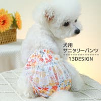 PlusNao（プラスナオ）のファッション雑貨/ペットグッズ