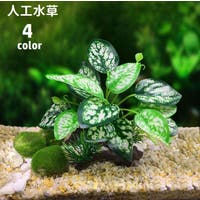 PlusNao(プラスナオ)のファッション雑貨/ペットグッズ