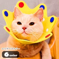 PlusNao（プラスナオ）のファッション雑貨/ペットグッズ