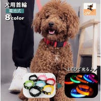 PlusNao（プラスナオ）のファッション雑貨/ペットグッズ